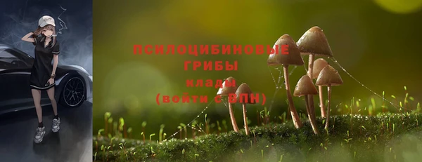 трава Абаза