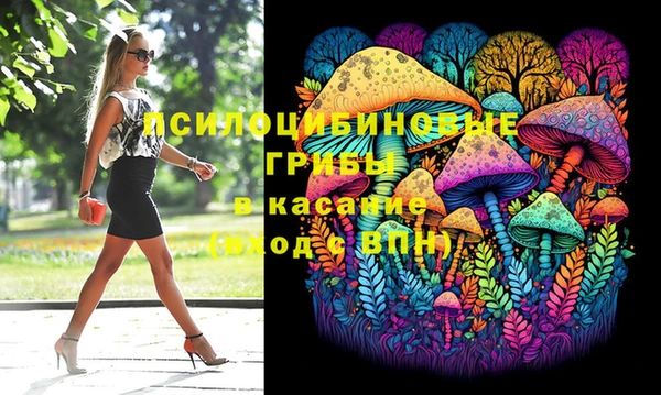 трава Абаза