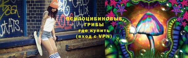 трава Абаза