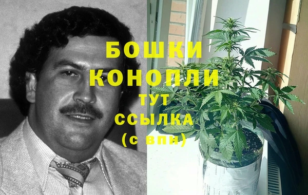 трава Абаза