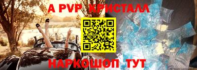 ECSTASY Новодвинск