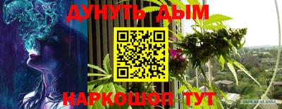 ECSTASY Новодвинск
