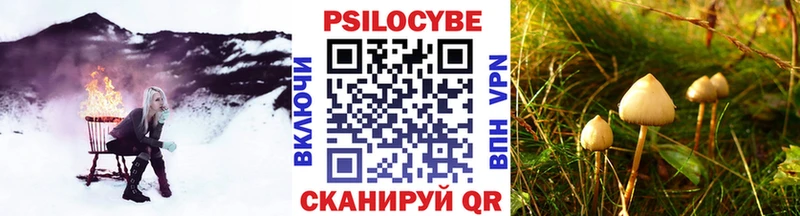 сколько стоит  blacksprut ССЫЛКА  Галлюциногенные грибы Psilocybe  Благовещенск 