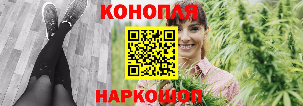 Каннабис план  Бошки марихуана гибрид  МАРИХУАНА тримм  Благовещенск  Вход с VPN 